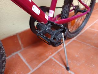 Bicicleta niña WST elegant 20"