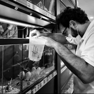 Mantenimiento y limpieza acuario