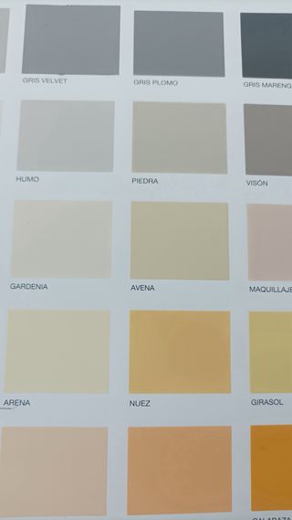 PINTOR EXTERIOR E INTERIOR ALIZADOS DE PISOS