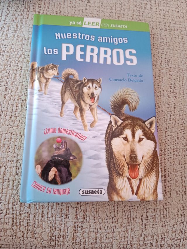 Nuestros amigos los perros