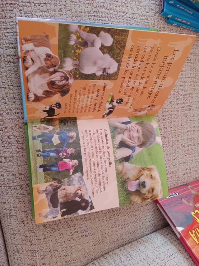 Nuestros amigos los perros