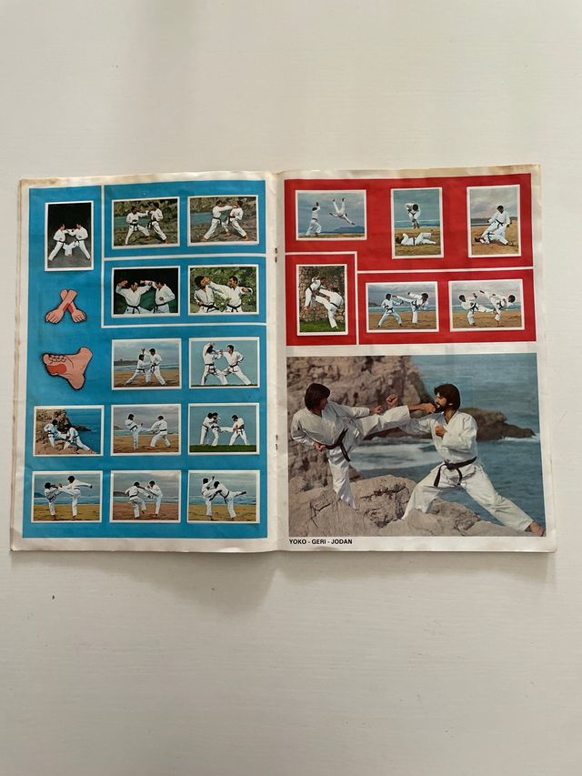 Album ARTES MARCIALES Completo