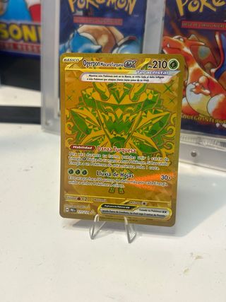 Carta pokemon Ogerpon Dorado
