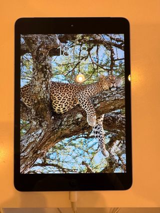 IPAD Mini 2 wifiCelular