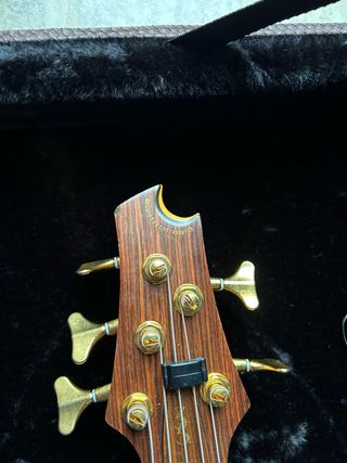 Bajo electrico 5 cuerdas