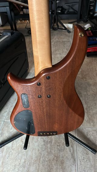 Bajo electrico 5 cuerdas