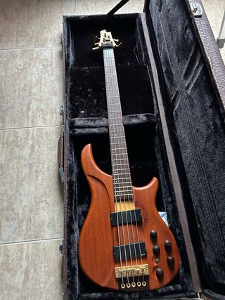 Bajo electrico 5 cuerdas