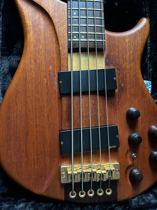 Bajo electrico 5 cuerdas