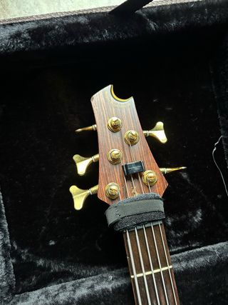 Bajo electrico 5 cuerdas
