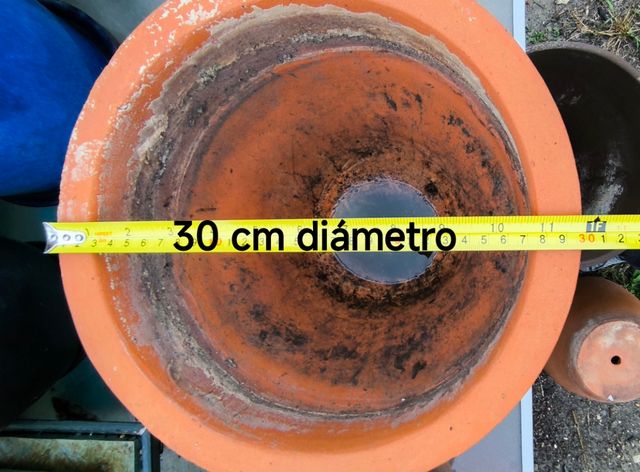 Dos macetas antiguas de terracota