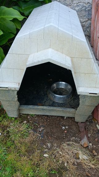 caseta perro