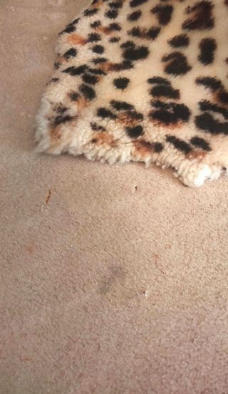 Alfombras vintage estampado animal