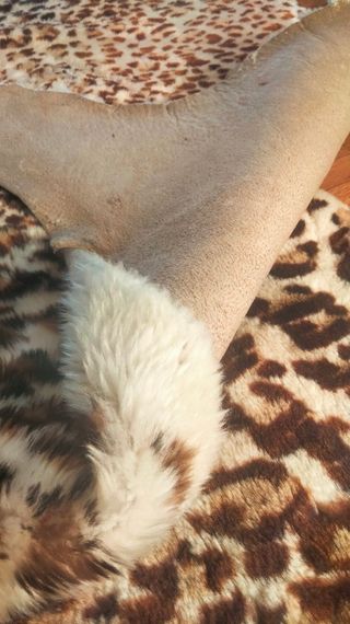 Alfombras vintage estampado animal