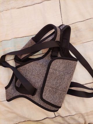 Arnés De Apoyo para Patas Traseras perro y pinta 