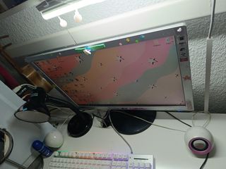 Vendo monitor de pc 24 pulgadas LG
