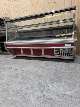 Expositora expositora