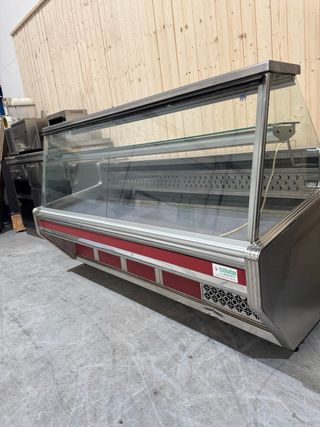 Expositora expositora