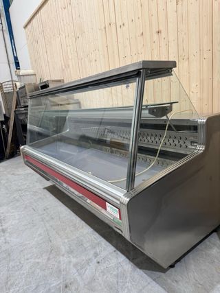 Expositora expositora