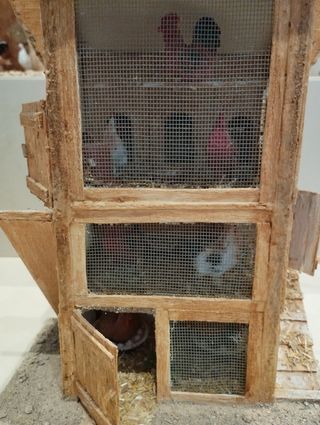 Gallinero para belén