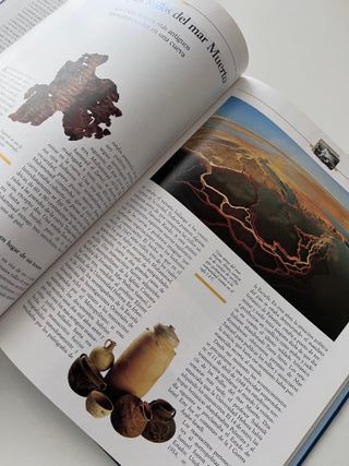 ISRAEL Y FENICIA Historia de la humanidad