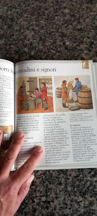 Il Medioevo (Alla scoperta del mondo)