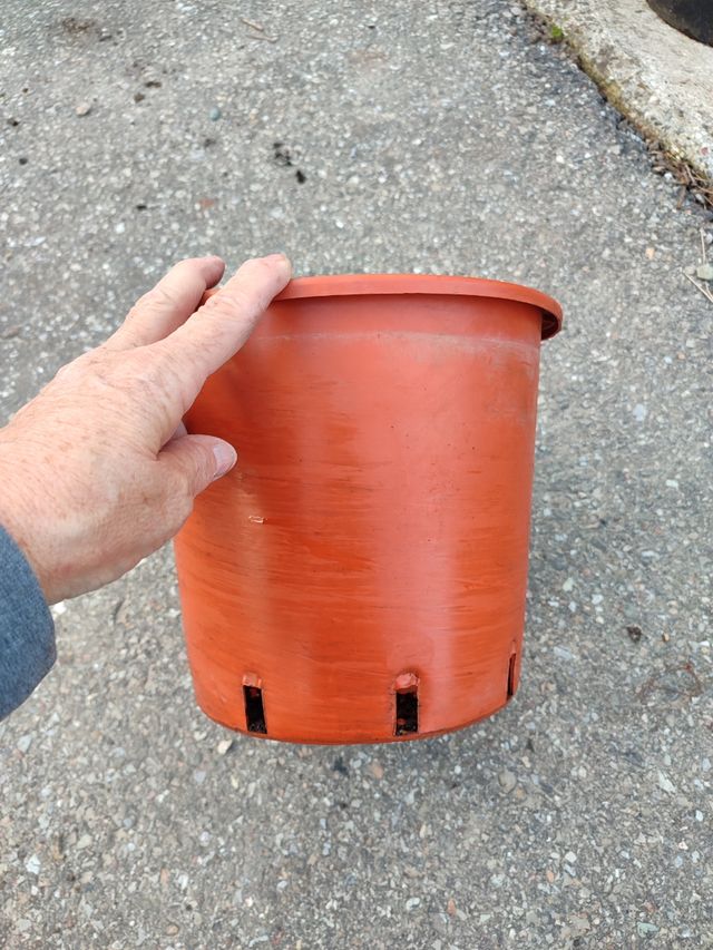 Vasi in plastica marrone, usati 1 volta