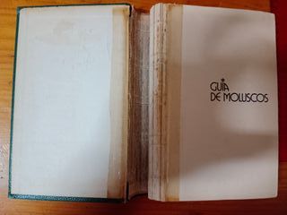 libro de moluscos