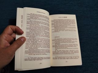 El Arpa de Birmania. Michio Takeyama