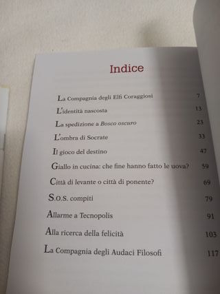 Libro di narrativa per bambini/ragazzi