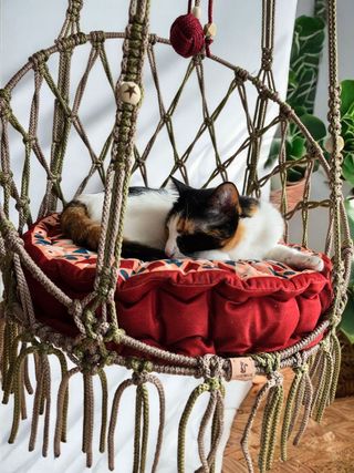 Hamaca gato XL macrame