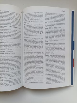 Diccionario panhispánico de dudas RAE