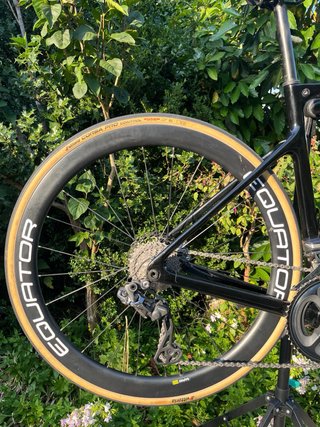 Orbea Orca