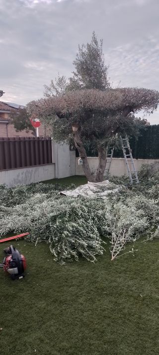servicio de jardinería i césped artifici