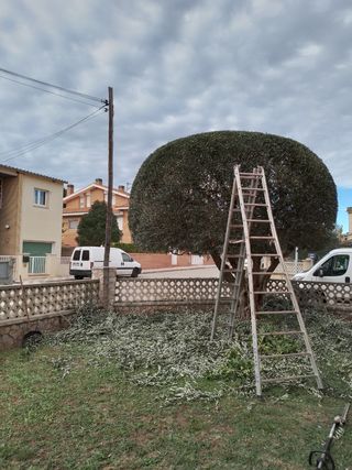 servicio de jardinería i césped artifici