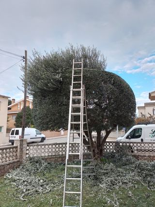 servicio de jardinería i césped artifici
