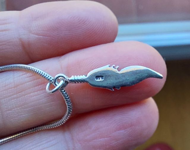 Cadena con colgante de plata