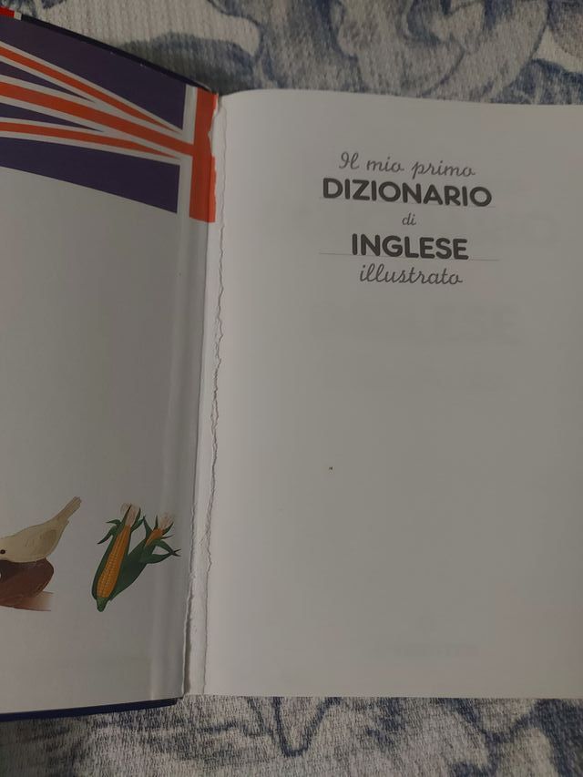 dizionario di inglese per bambini