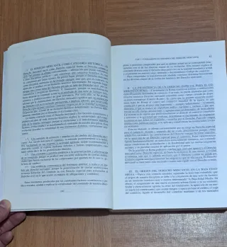 Manual de Derecho Mercantil