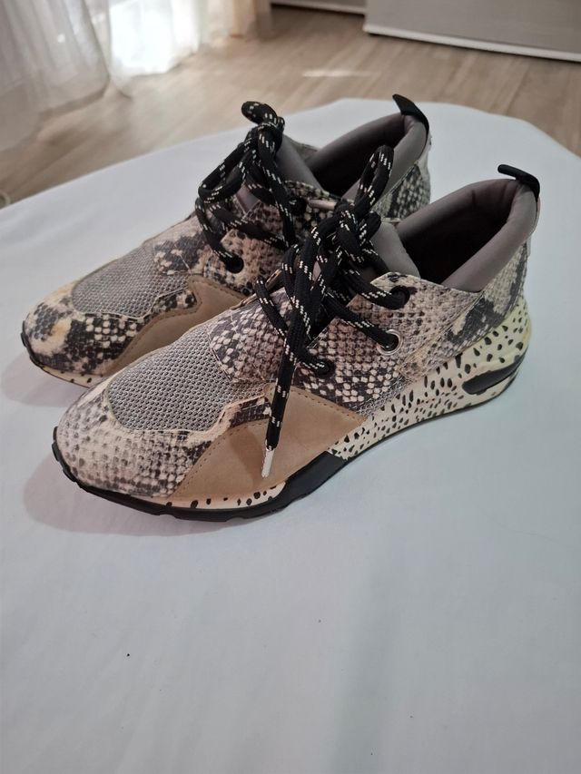 Zapatillas Steve Madden 