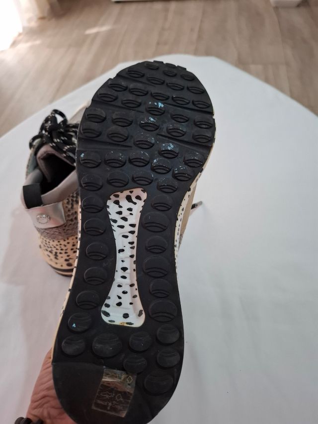 Zapatillas Steve Madden 