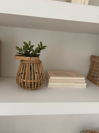 maceta pequeña de madera y planta