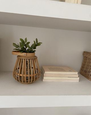 maceta pequeña de madera y planta