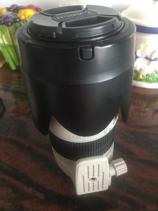 Canon EF 70/200 mm  f/2.8 L IS Ii USM