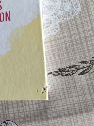 Las chicas son guerreras / Women Are Warriors: 25 Rebels Who Changed the World: 25 rebeldes que cambiaron el mundo (Spanish Edition)