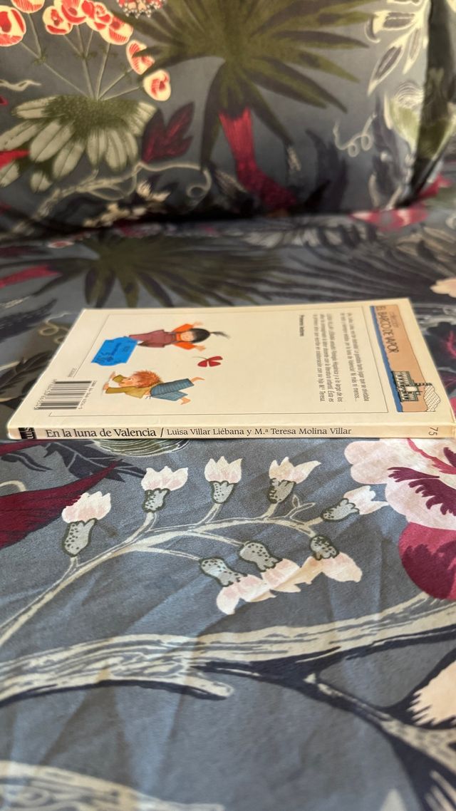 En la luna de Valencia (El barco de vapor / The...