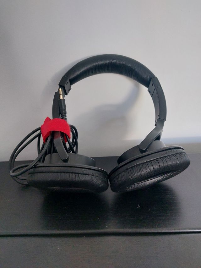 Cascos auriculares Roland RH-5