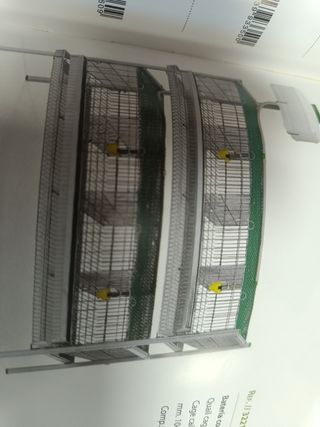 Jaula codornices dos cestas