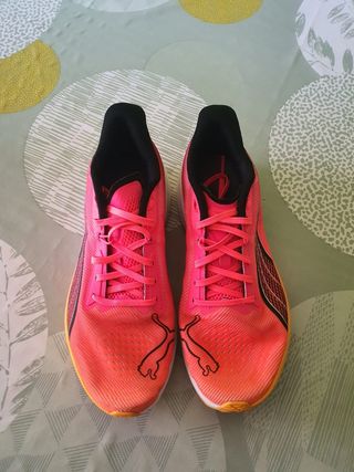 Puma