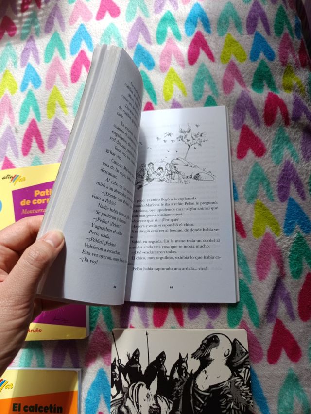 LOTE LIBROS JUVENILES