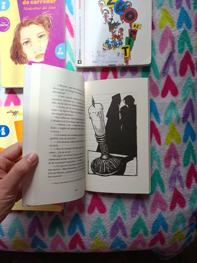 LOTE LIBROS JUVENILES